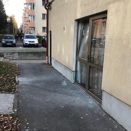 Gaby Studio Braşov Eksteriør billede