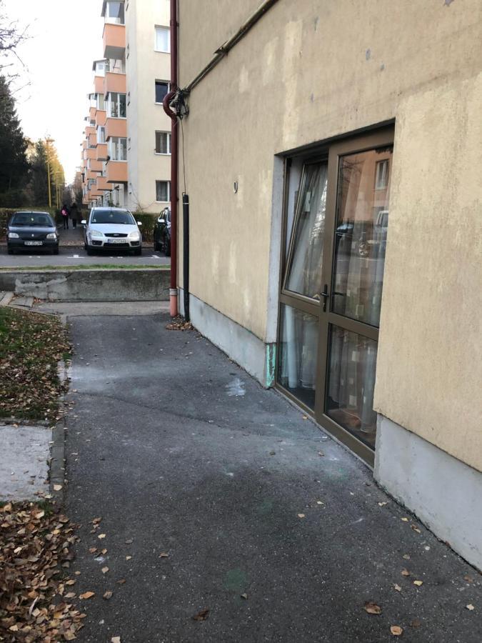 Gaby Studio Braşov Eksteriør billede